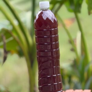 Thuốc ngâm rượu đau đầu