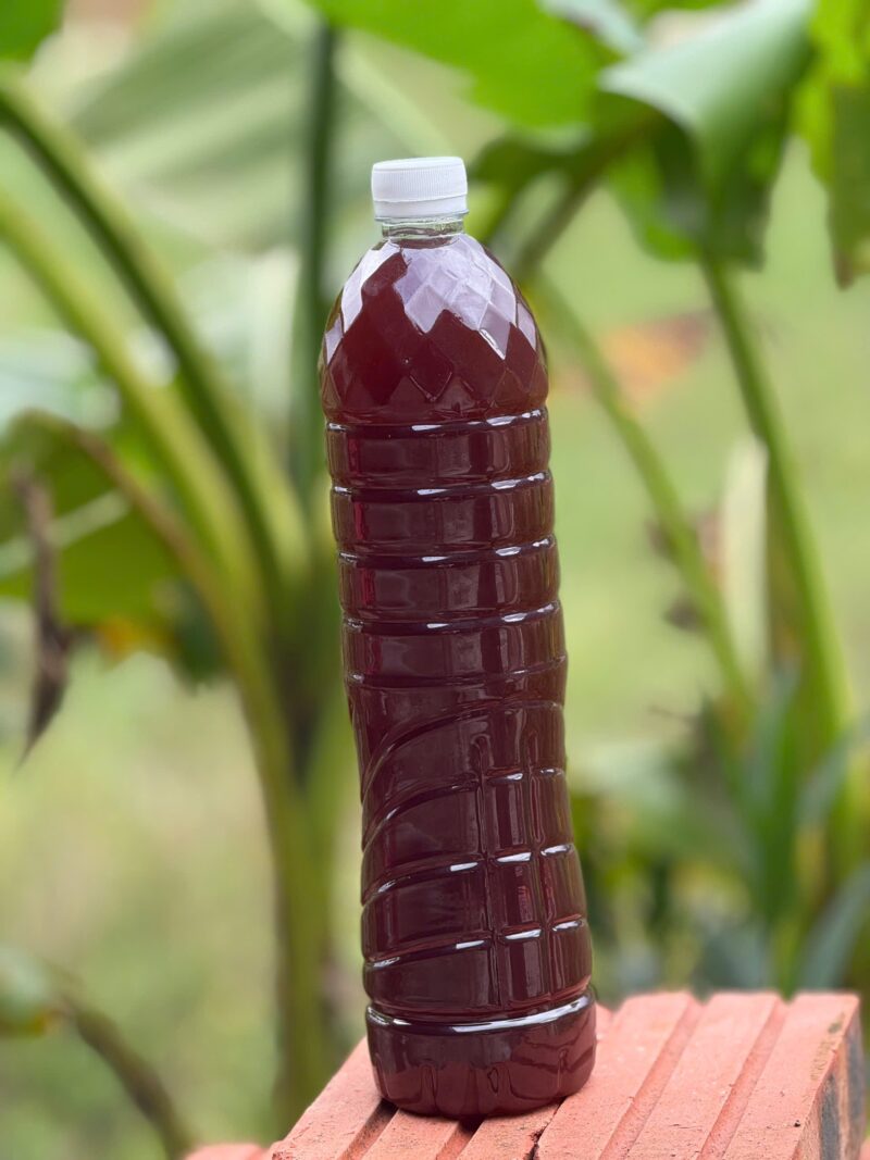 Thuốc ngâm rượu đau đầu
