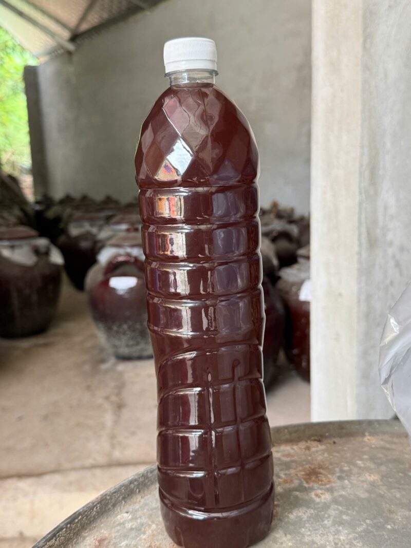 Thuốc ngâm rượu đau lưng