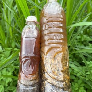 Thuốc ngâm rượu xoa bóp