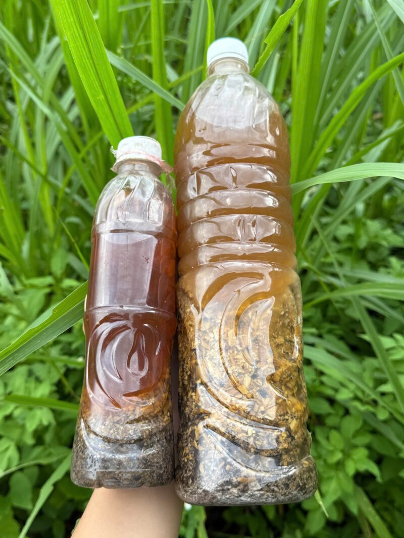 Thuốc ngâm rượu xoa bóp